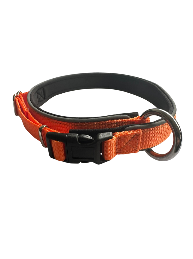 Neoprene collar