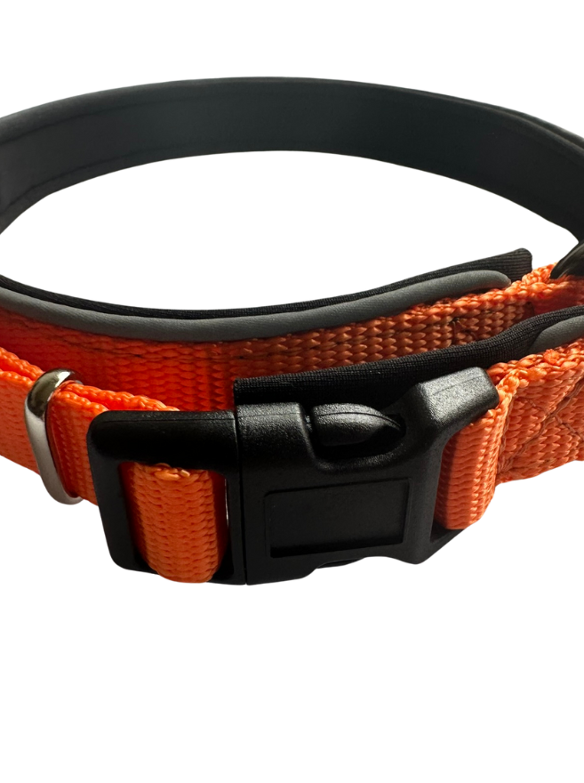 Neoprene collar