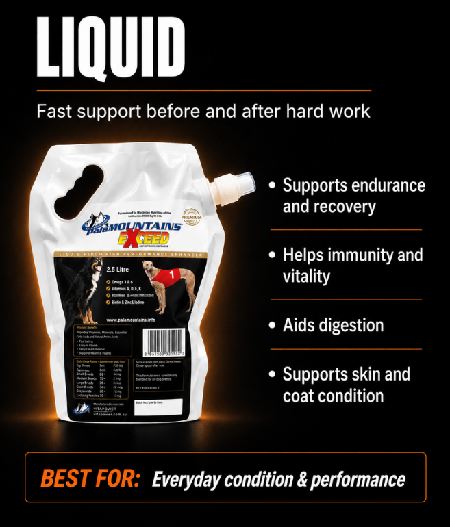 Exceed Liquid 2.5L