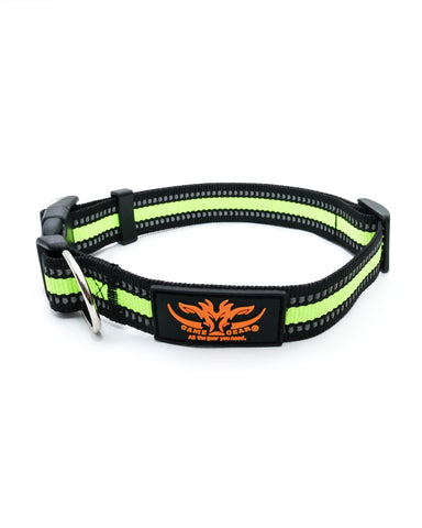 Game Gear Orange Webbing Dog Collar