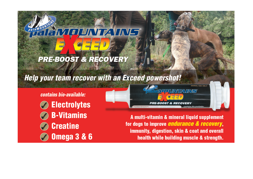 Exceed Preboost And Recovery Dog Gear
