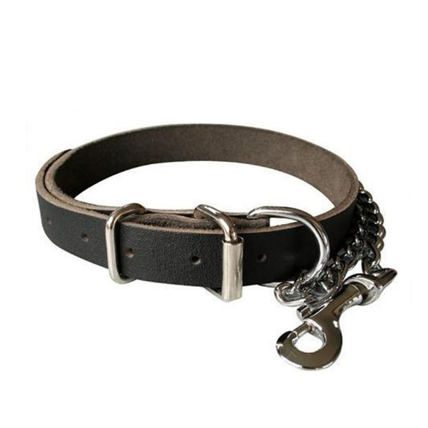 Game Gear dog Collar and Chain 