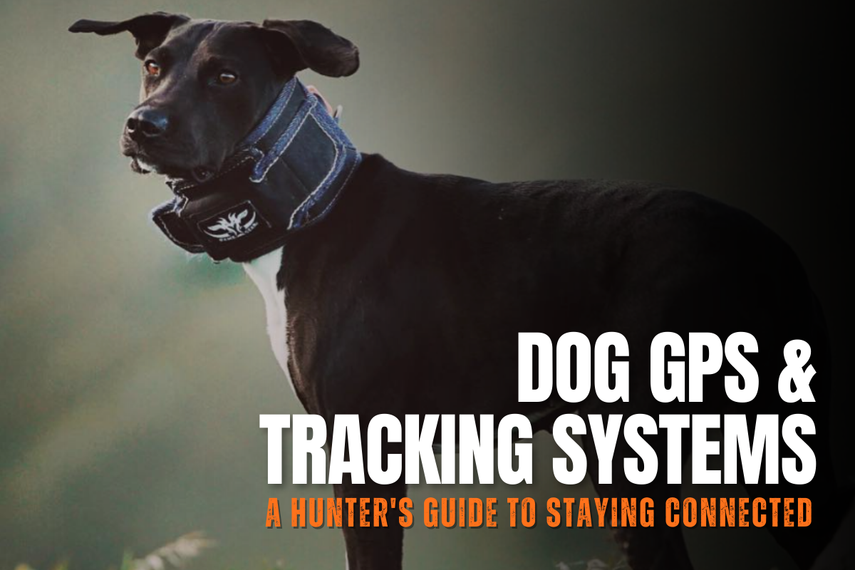 Dog GPS and Tracking Systems: A Hunter's Guide to Staying Connected