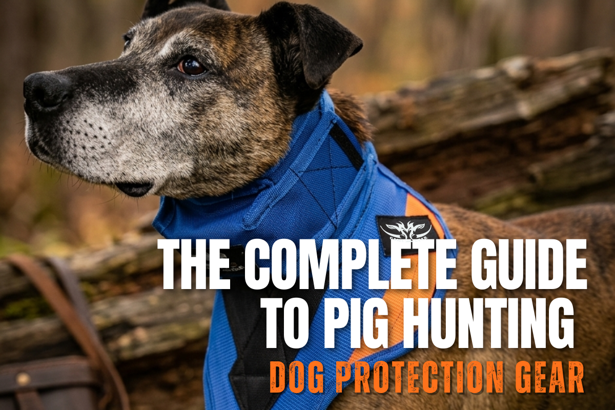 The Complete Guide to Pig Hunting Dog Protection Gear