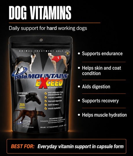 Exceed Dog Vitamins