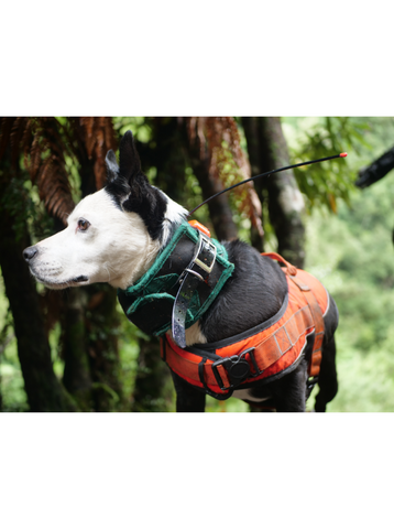 Dog Safety Vest Game Gear