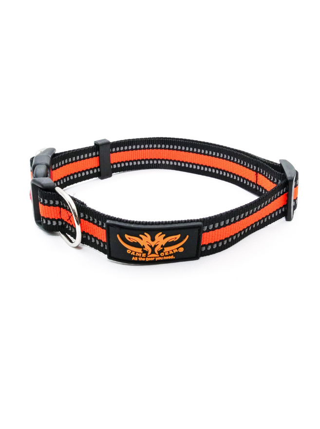 Game Gear Orange Webbing Dog Collar