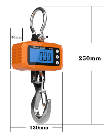 Industrial Crane Scales