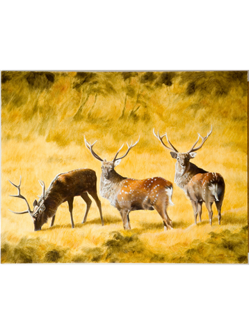 Study Of A Sika Stag