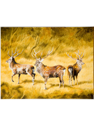 Trio of Sika Stags