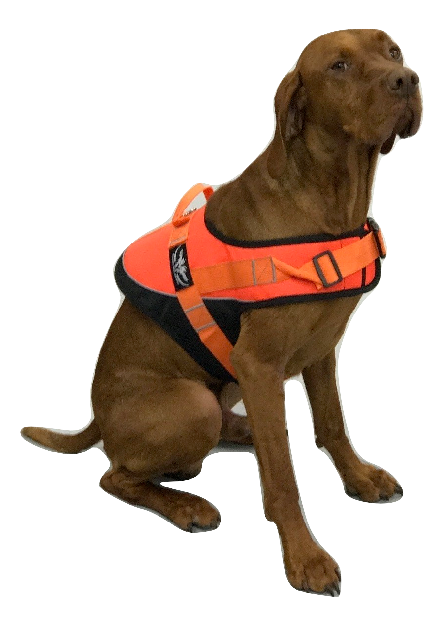 Hunting Dog Orange Hi Viz Safety Jacket/Vest with reflective piping