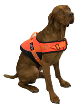 Hunting Dog Orange Hi Viz Safety Jacket/Vest with reflective piping