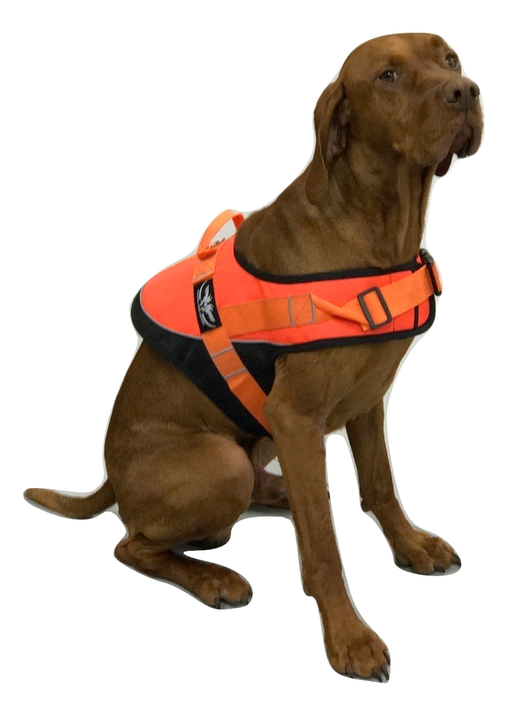 Hunting Dog Orange Hi Viz Safety Jacket/Vest with reflective piping