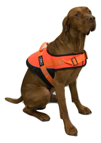 Dog Safety Vest Game Gear
